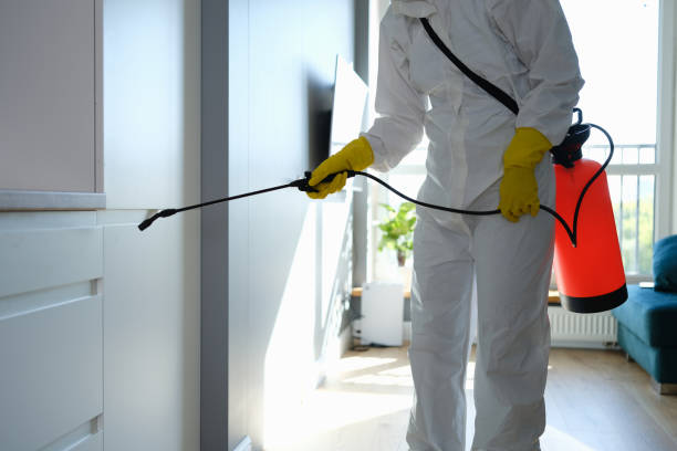Best Residential Mold Remediation in Liberty Corner, NJ
