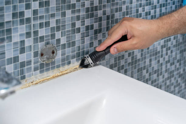 Best Insurance-Related Mold Remediation in Liberty Corner, NJ