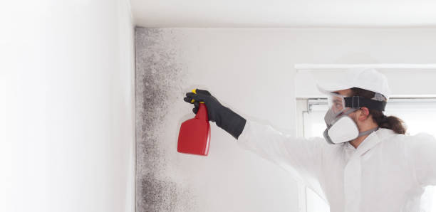 Best Crawl Space Mold Remediation in Liberty Corner, NJ