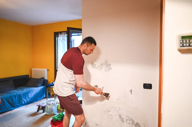 Best Post-Flood Mold Remediation in Liberty Corner, NJ